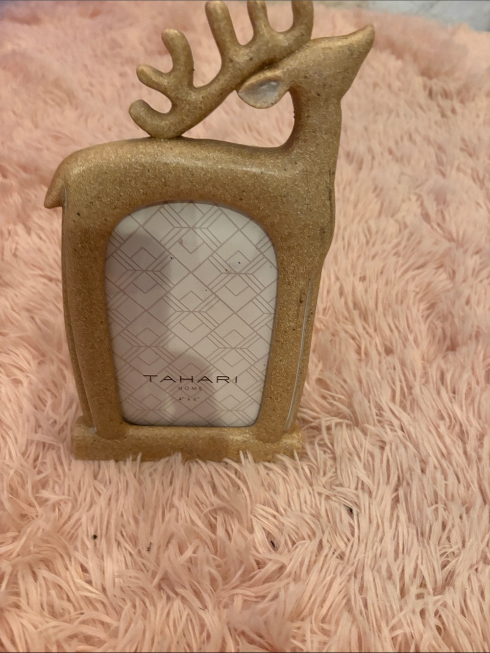 Tahari tan Reindeer Picture Frame